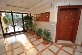 Image of Sultan Sipahi