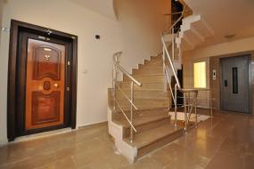 Image of Tropical Apart