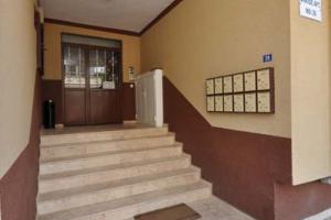 Image of Oba Orkide apart