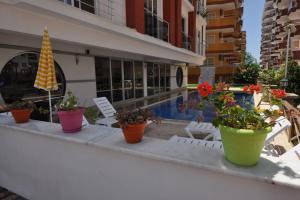 Image of Studio Homes Apt