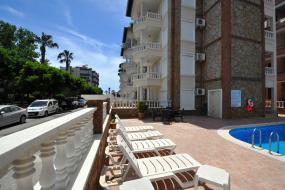 Image of Elit Kleopatra A8