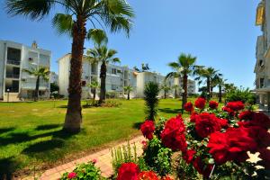 Image of Tatil Sitesi Konakli