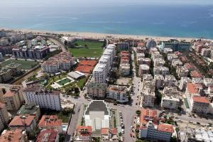 Image of Elize 3 Oba