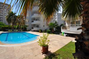 Image of Alcon 22 2+1 apartment