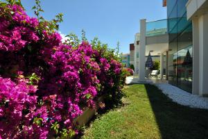 Image of Yuksek Garden apartment
