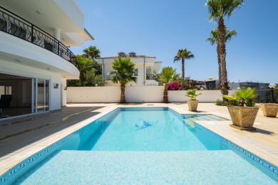 Alanya villa exterior featuring a bright blue swimming pool, palm trees, and sunny, luxurious atmosphere.